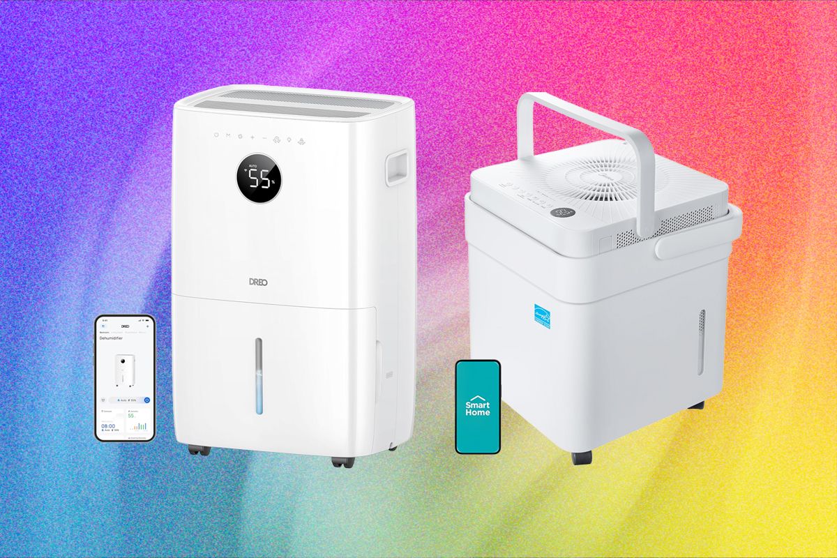 6 Best Dehumidifiers to Keep Your Home Mold-Free (2026)